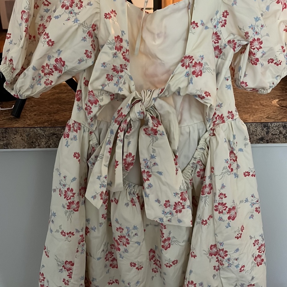 Spring Dress - Picture 2 of 3